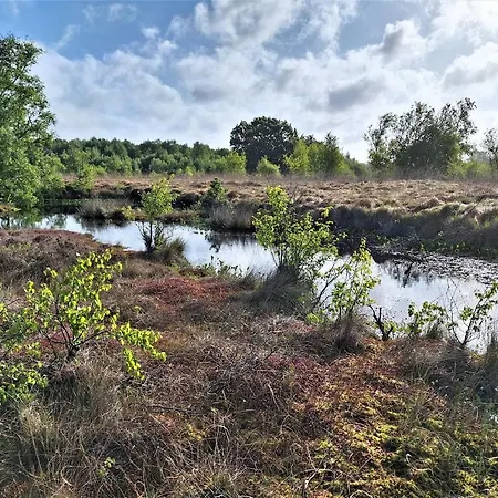 Haus Swanhild Fockbek
