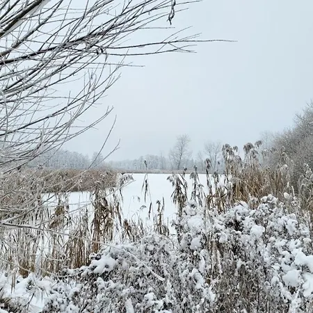 Haus Swanhild Chalet *