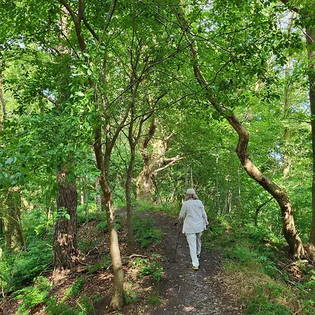 Haus Swanhild Шале *