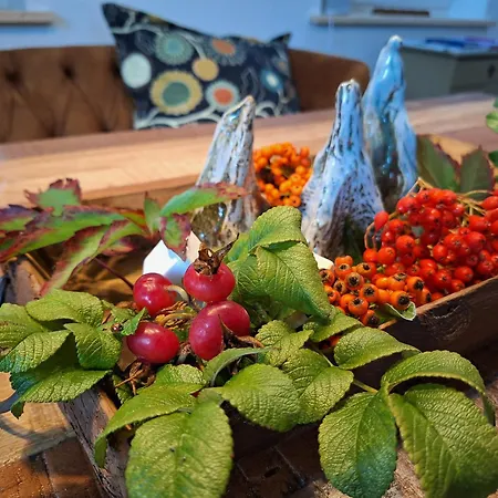 Haus Swanhild Chalet *