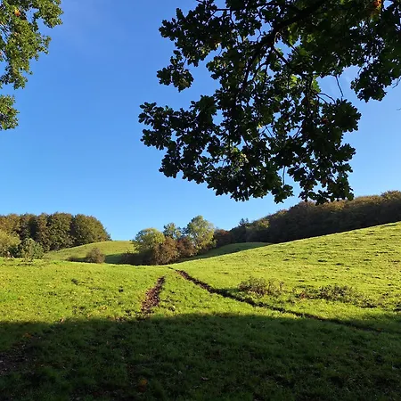 Haus Swanhild Шале *