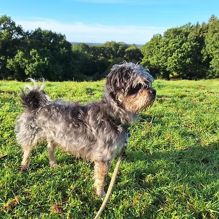 Haus Swanhild * Fockbek