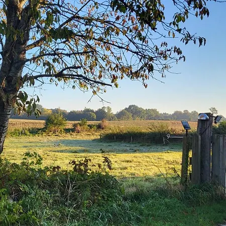 Chalet Haus Swanhild *