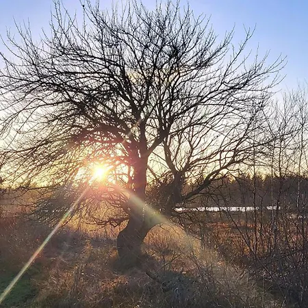 Haus Swanhild * Fockbek