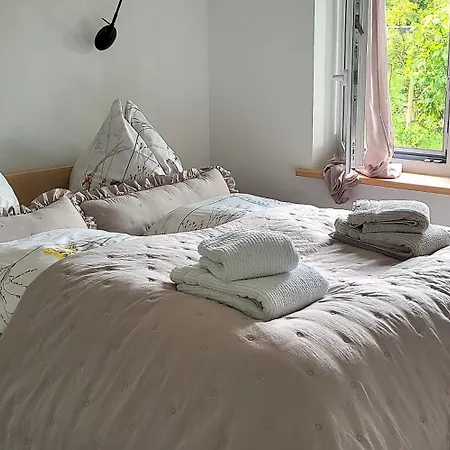 Шале Haus Swanhild