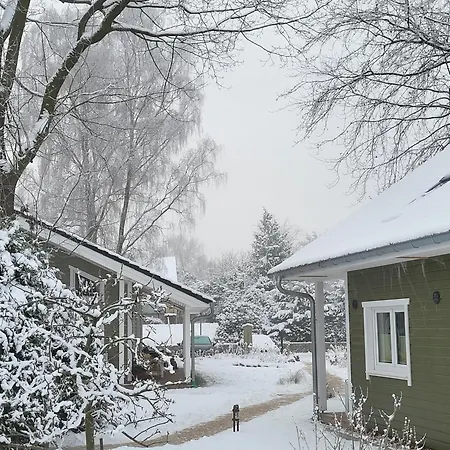 Chalet Haus Swanhild *