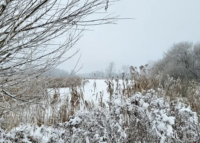 Haus Swanhild Alpehytte *