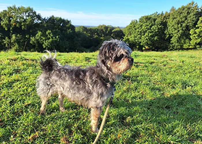 Haus Swanhild * Fockbek